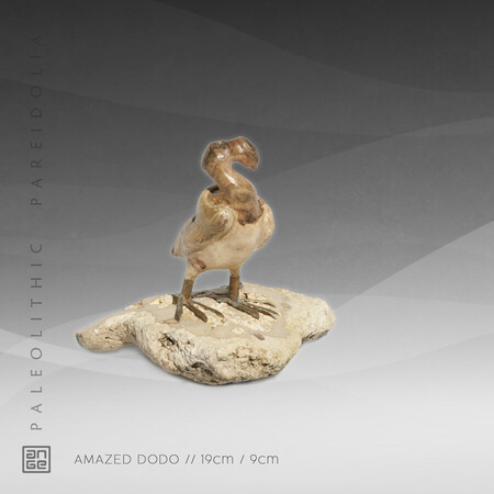 AMAZED DODO