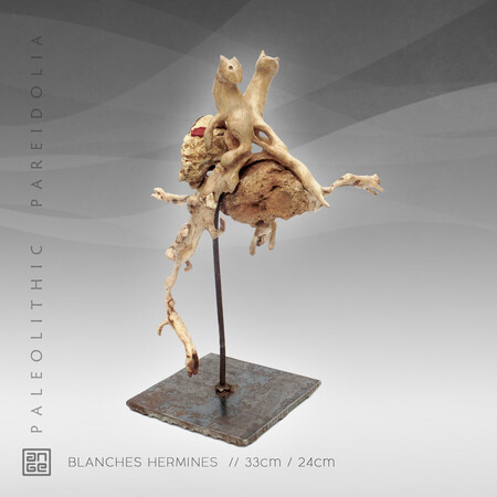 BLANCHES HERMINES