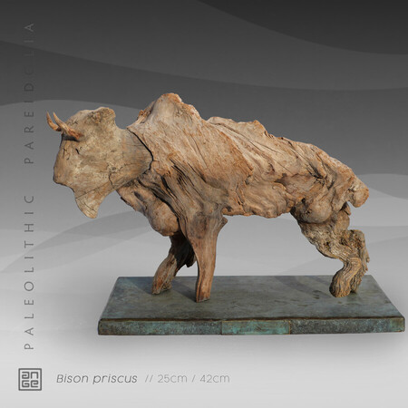 BISON PRISCUS
