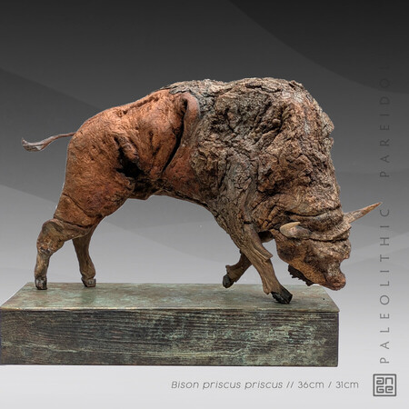 BISON PRISCUS PRISCUS