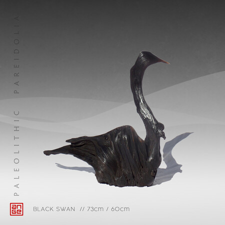 BLACK SWAN