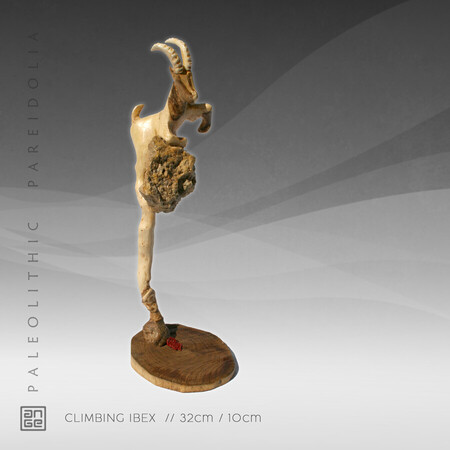 CLIMBING IBEX