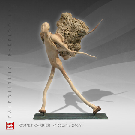 COMET CARRIER