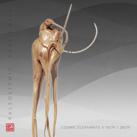 COSMIC ELEPHANTS