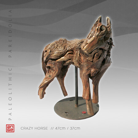CRAZY HORSE