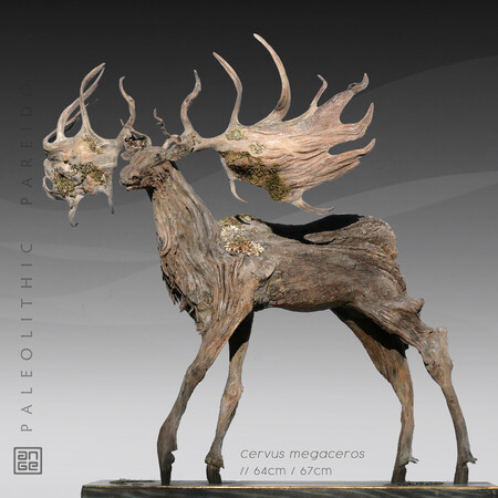CERVUS MEGACEROS