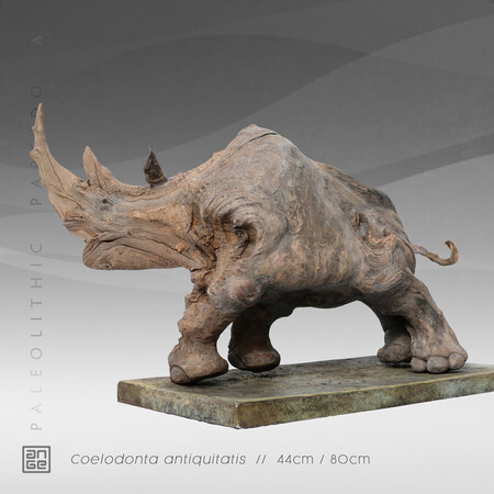 COELODONTA ANTIQUITATIS