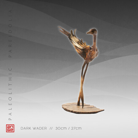 DARK WADER