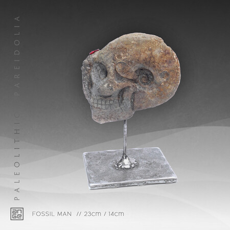 FOSSIL MAN