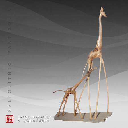 FRAGILES GIRAFES