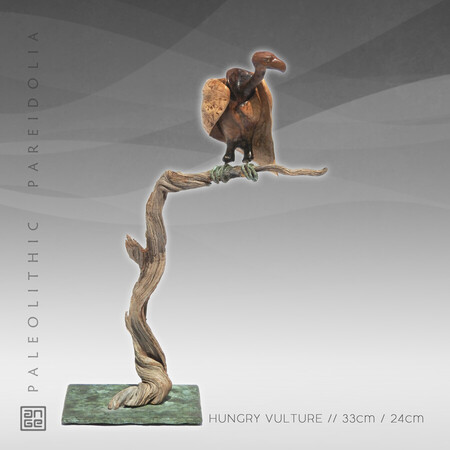 HUNGRY VULTURE