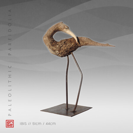 IBIS