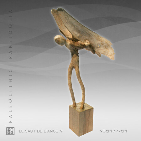 Le SAUT de l'ANGE
