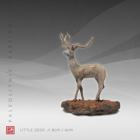 LITTLE DEER