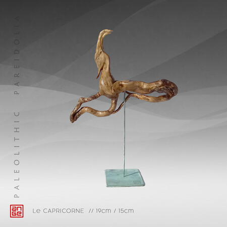 Le CAPRICORNE