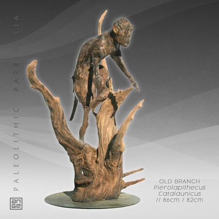 OLD BRANCH
