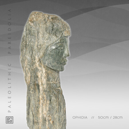 OPHIDIA