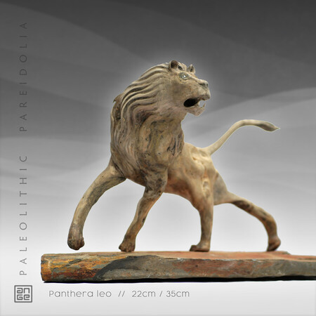PANTHERA LEO