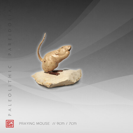 PRAYING MOUSE