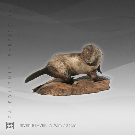 RIVER BEAVER