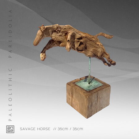 SAVAGE HORSE