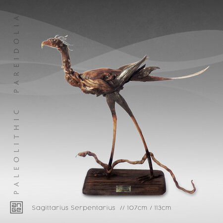 Sagittarius Serpentarius