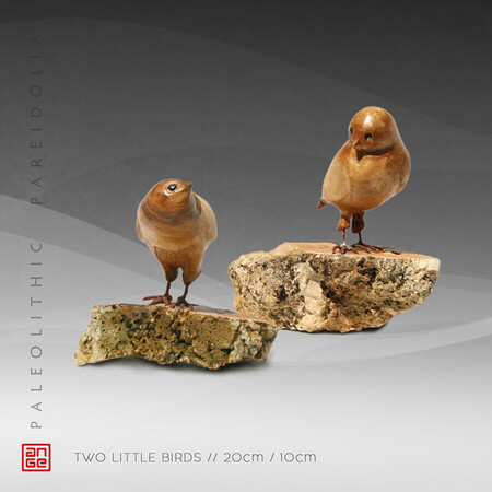 TWO LITTLE BIRDS