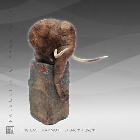 The LAST MAMMOTH