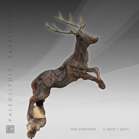 The SORCERER