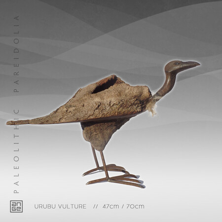 URUBU VULTURE