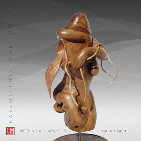 WEEPING AQUARIUS