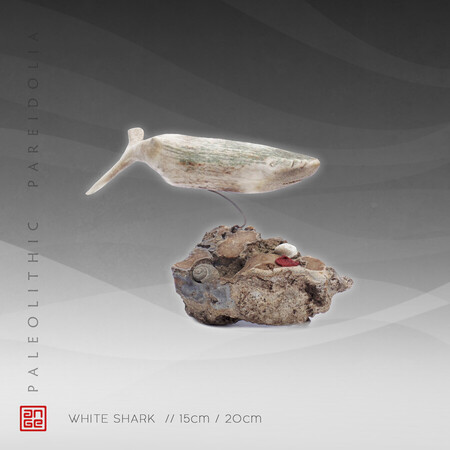 WHITE SHARK