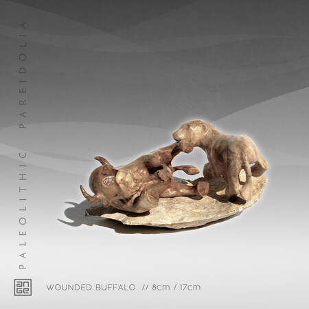 WOUNDED BUFFALO